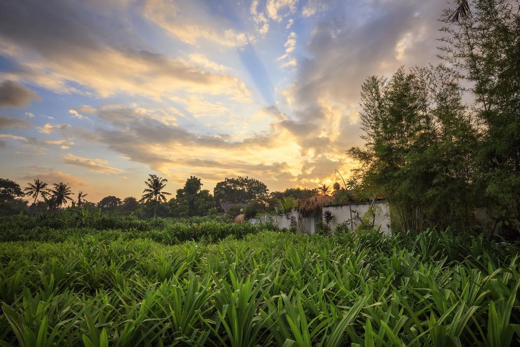 The Pandan Tree Villas Canggu Exterior foto