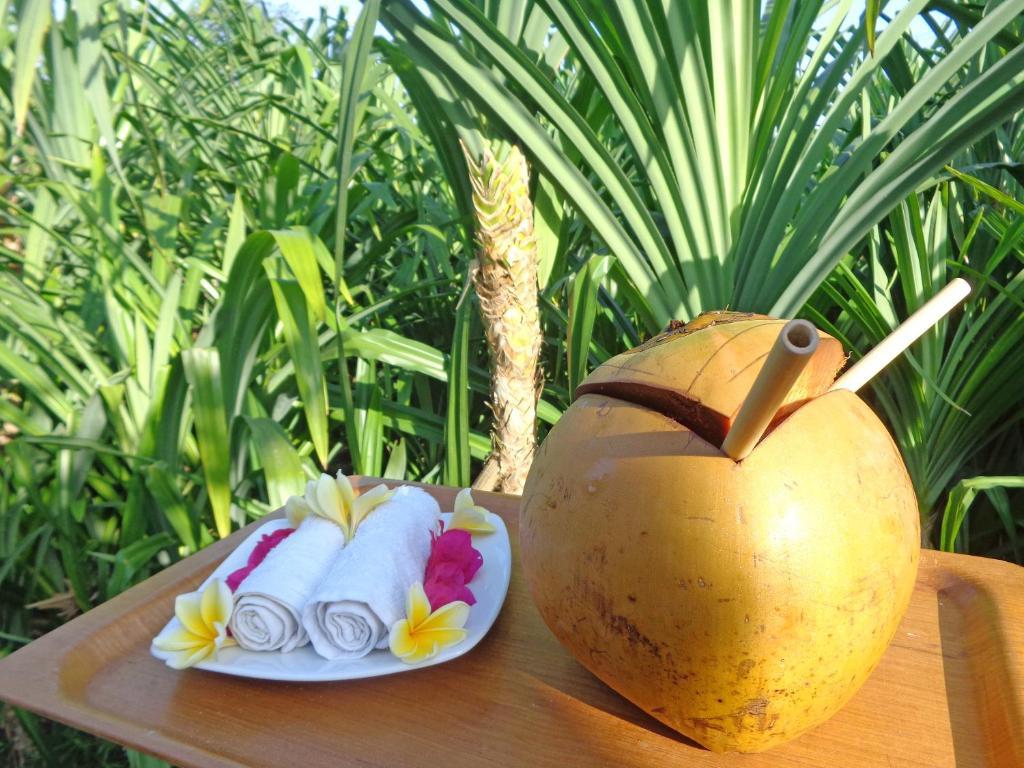 The Pandan Tree Villas Canggu Exterior foto
